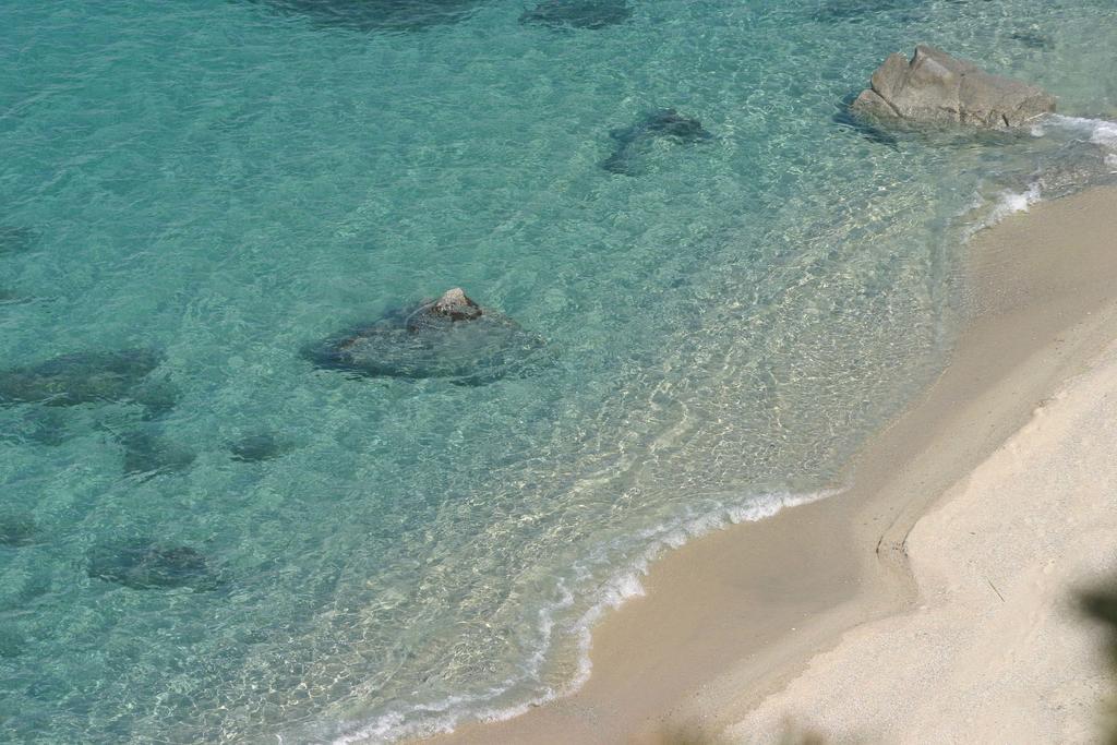 Residence Hotel Felix Ricadi Εξωτερικό φωτογραφία